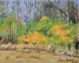 Osiky  39x48